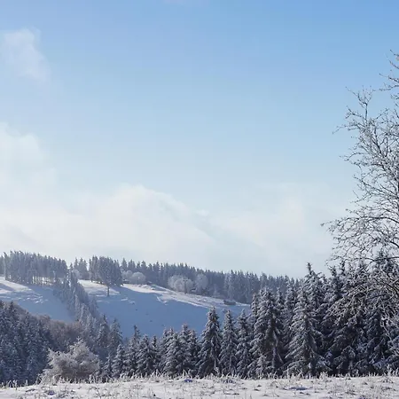 Holiday home Ferienhauspark Hasselfelde