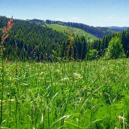 Hébergement de vacances Ferienhauspark