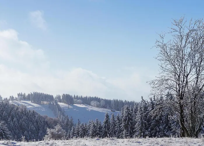 Σπίτι διακοπών Ferienhauspark Hasselfelde