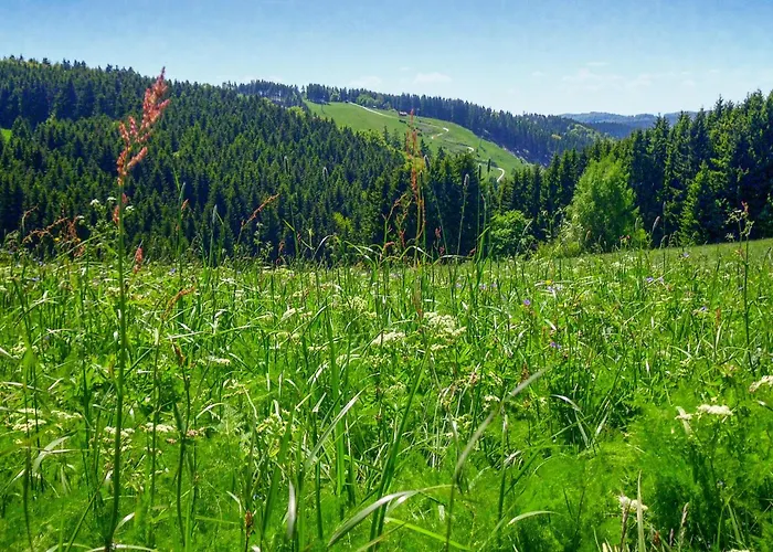 Σπίτι διακοπών Ferienhauspark